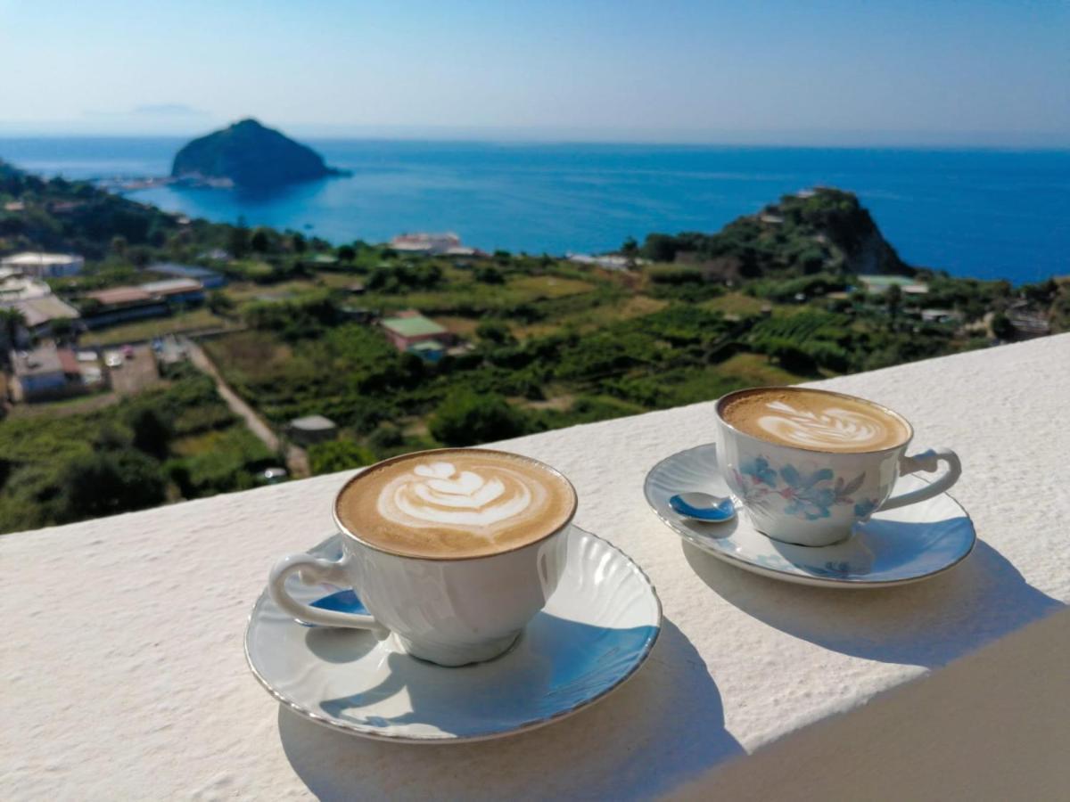 Villa Eleonora, Un Angolo Di Paradiso Ad Ischia Sant'Angelo  Extérieur photo