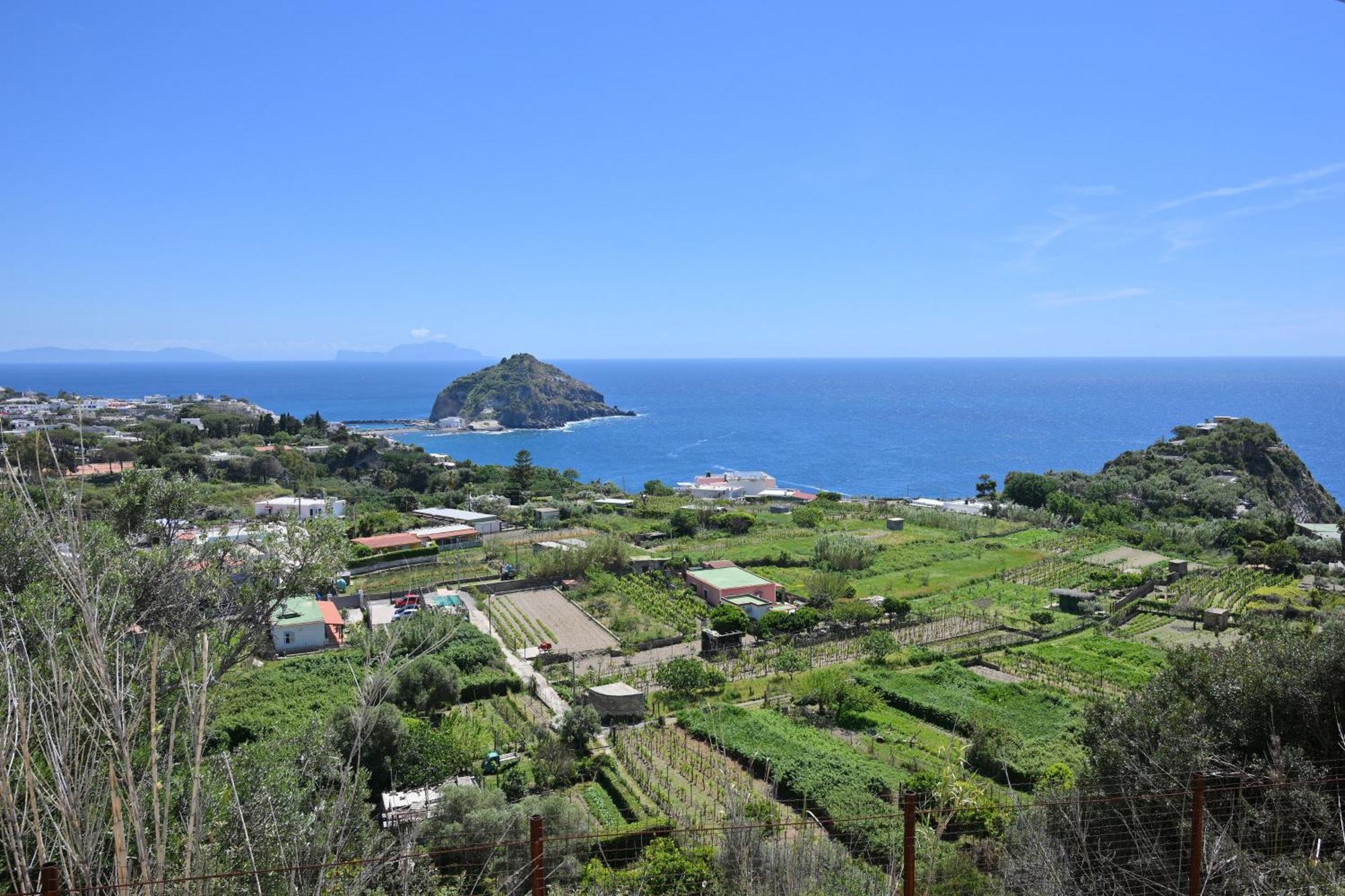 Villa Eleonora, Un Angolo Di Paradiso Ad Ischia Sant'Angelo  Extérieur photo