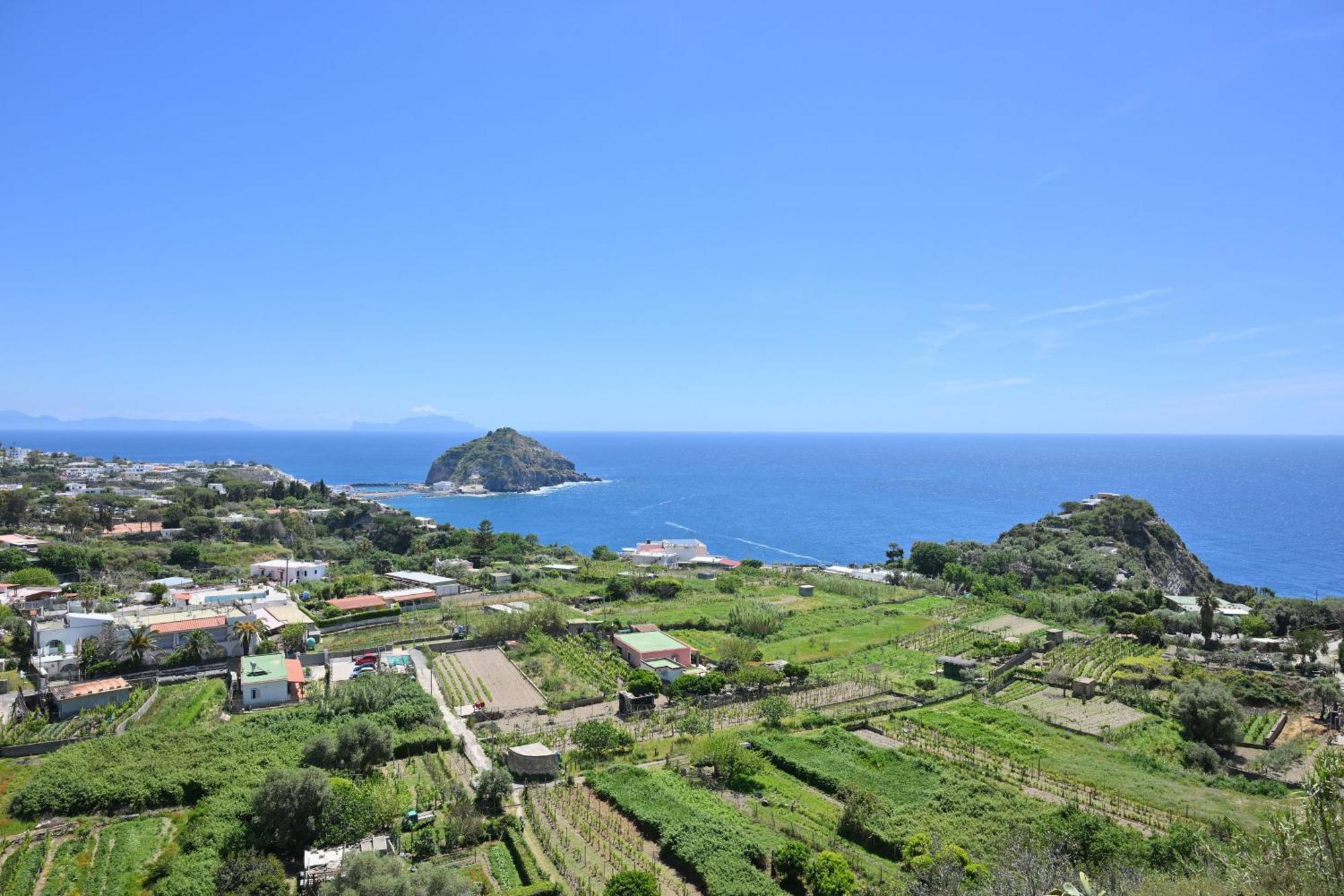 Villa Eleonora, Un Angolo Di Paradiso Ad Ischia Sant'Angelo  Extérieur photo