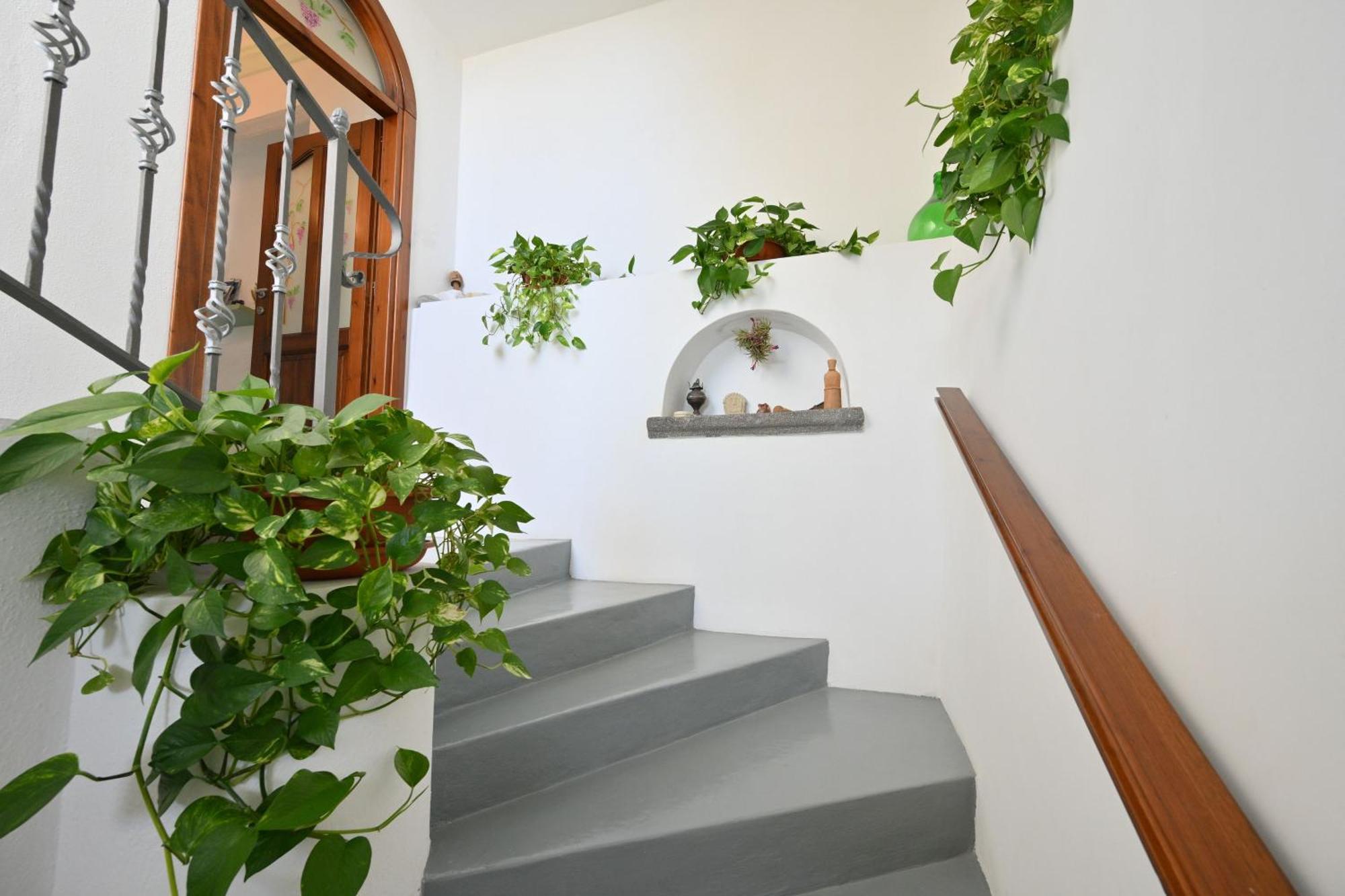 Villa Eleonora, Un Angolo Di Paradiso Ad Ischia Sant'Angelo  Extérieur photo