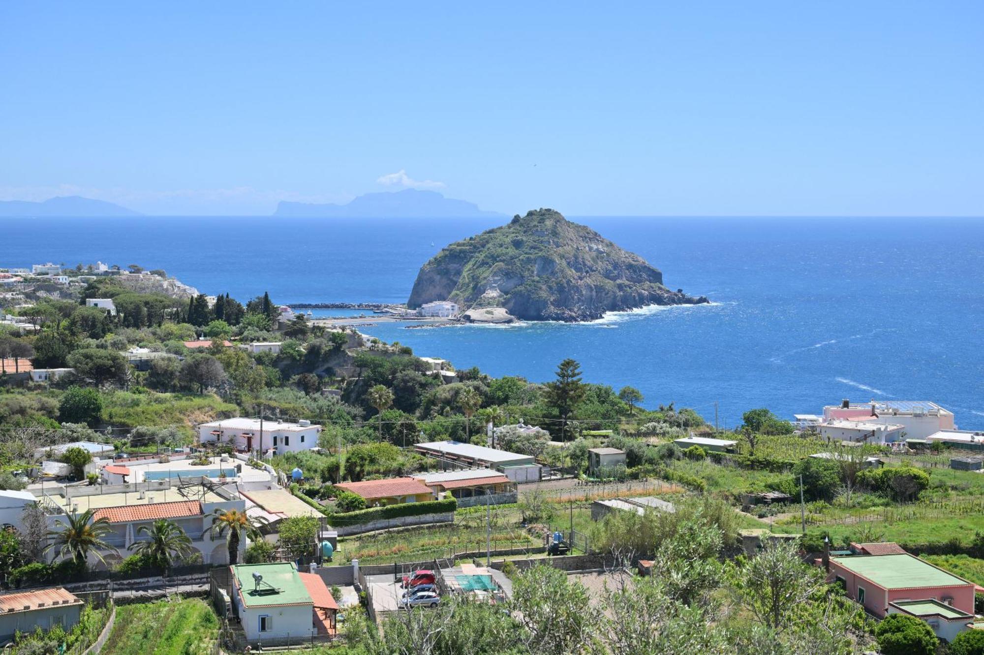 Villa Eleonora, Un Angolo Di Paradiso Ad Ischia Sant'Angelo  Extérieur photo