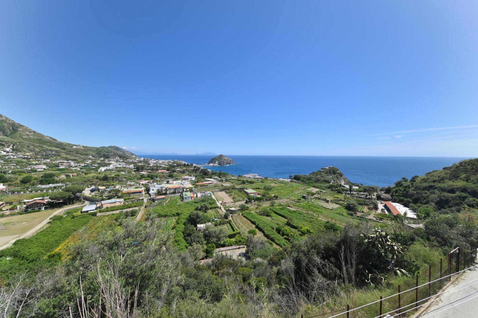 Villa Eleonora, Un Angolo Di Paradiso Ad Ischia Sant'Angelo  Extérieur photo