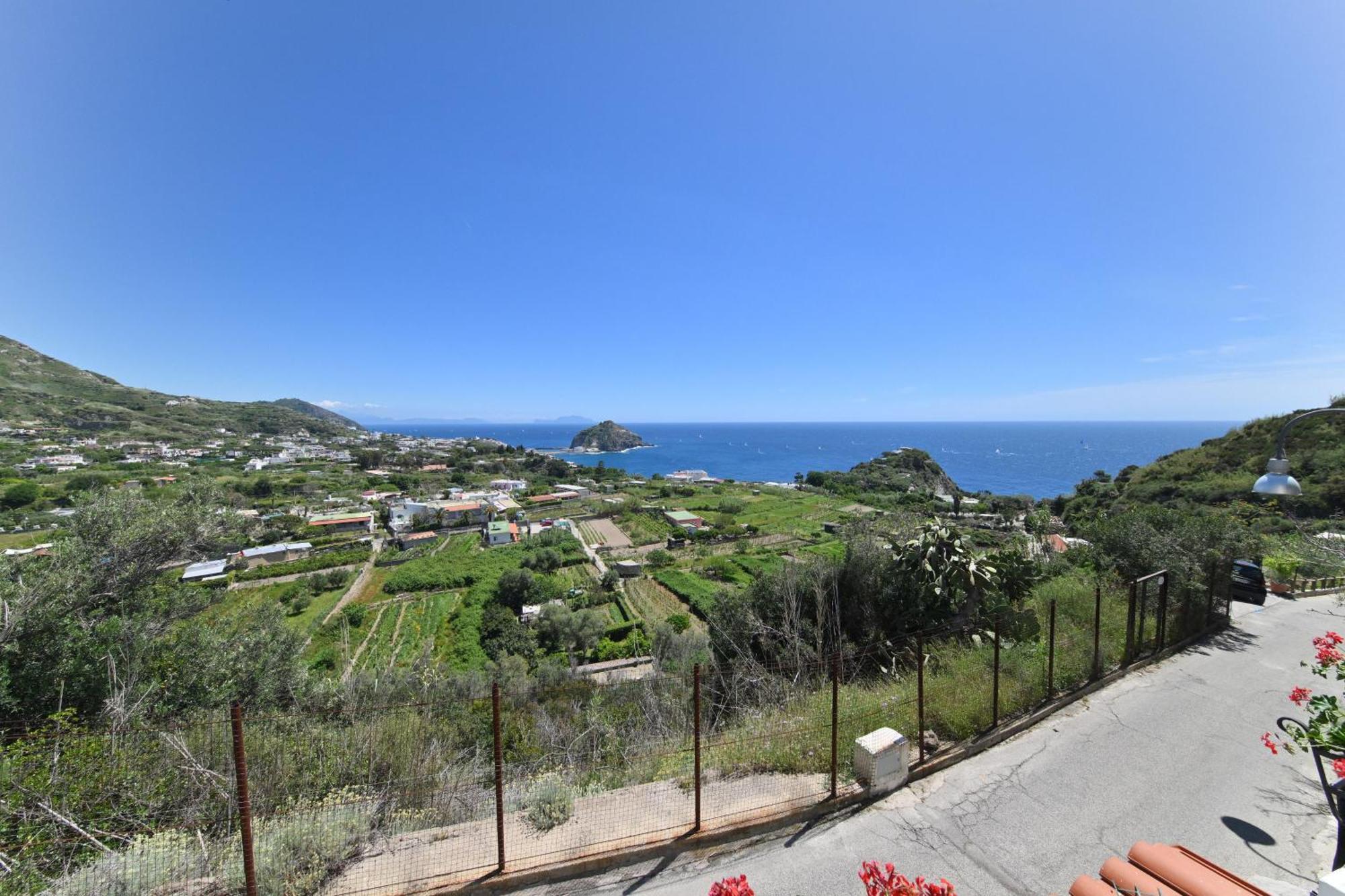 Villa Eleonora, Un Angolo Di Paradiso Ad Ischia Sant'Angelo  Chambre photo