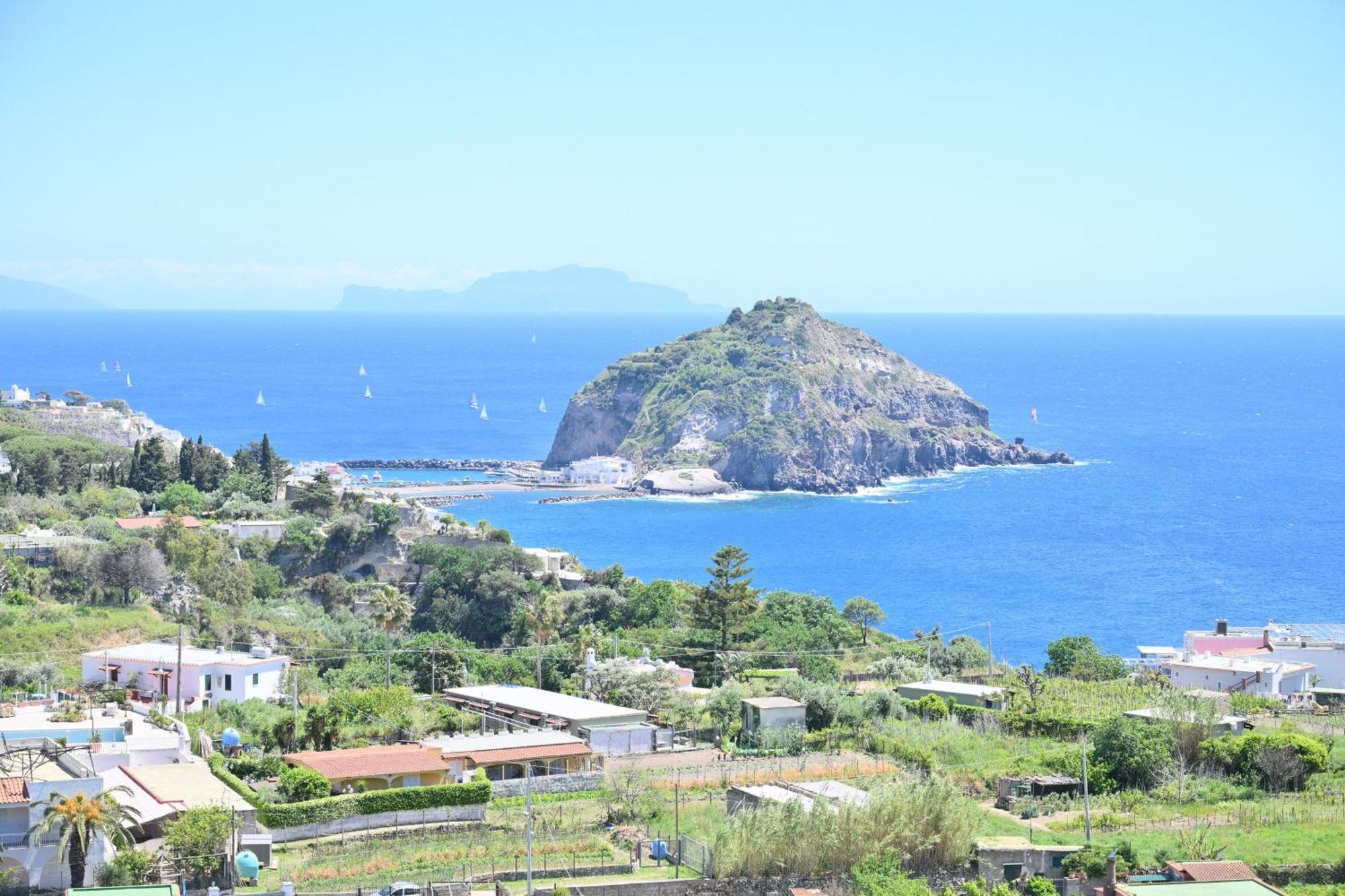 Villa Eleonora, Un Angolo Di Paradiso Ad Ischia Sant'Angelo  Chambre photo