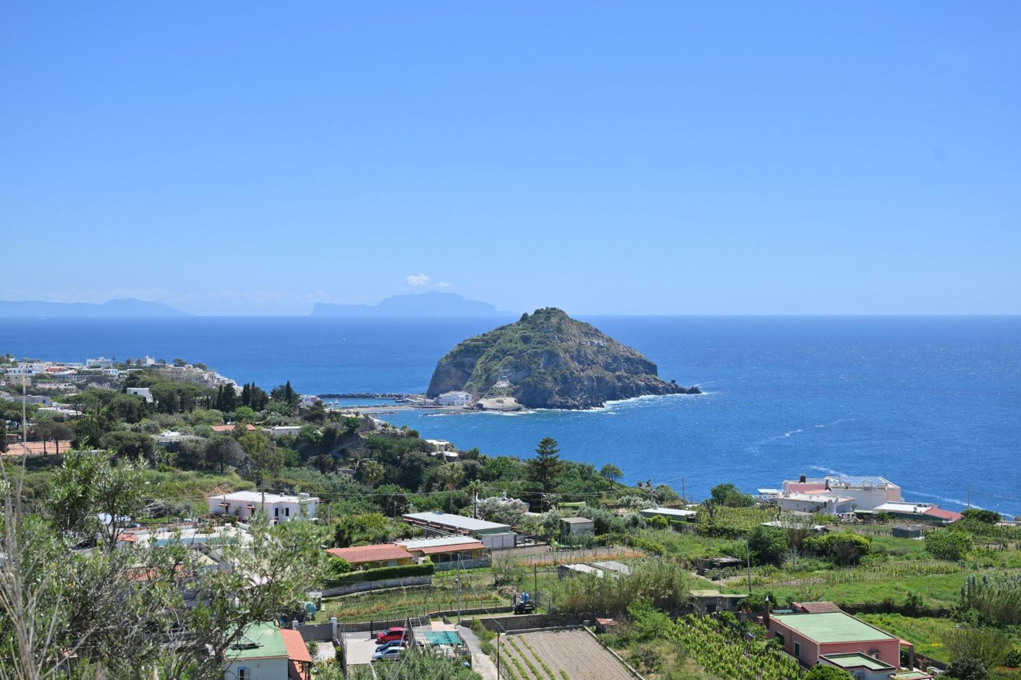 Villa Eleonora, Un Angolo Di Paradiso Ad Ischia Sant'Angelo  Chambre photo
